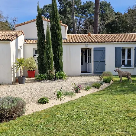 A L'ombre Des Pins * Saint-Augustin (Charente-Maritime)