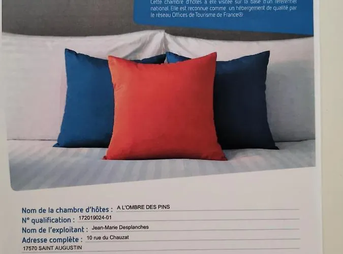 A L'ombre Des Pins Saint-Augustin (Charente-Maritime)