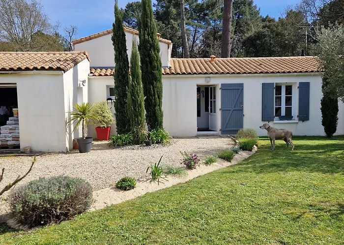 A L'ombre Des Pins * Saint-Augustin (Charente-Maritime)